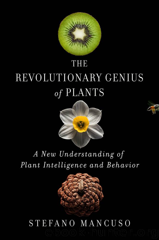 The Revolutionary Genius of Plants by Stefano Mancuso