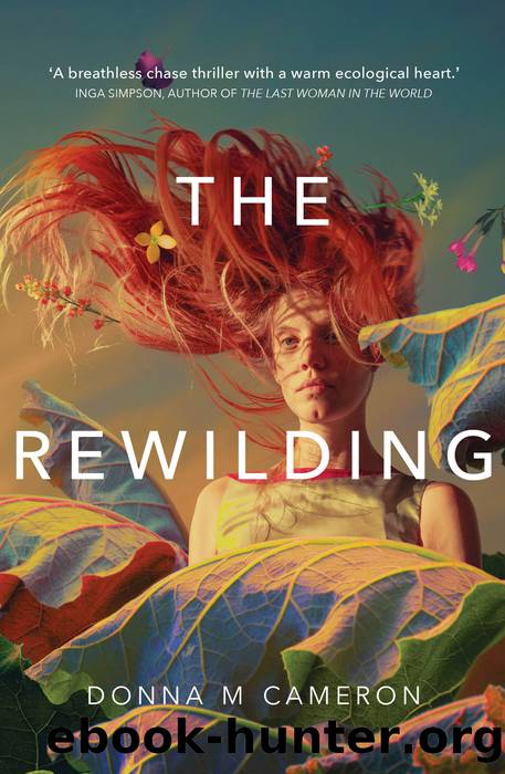 The Rewilding by Donna M Cameron