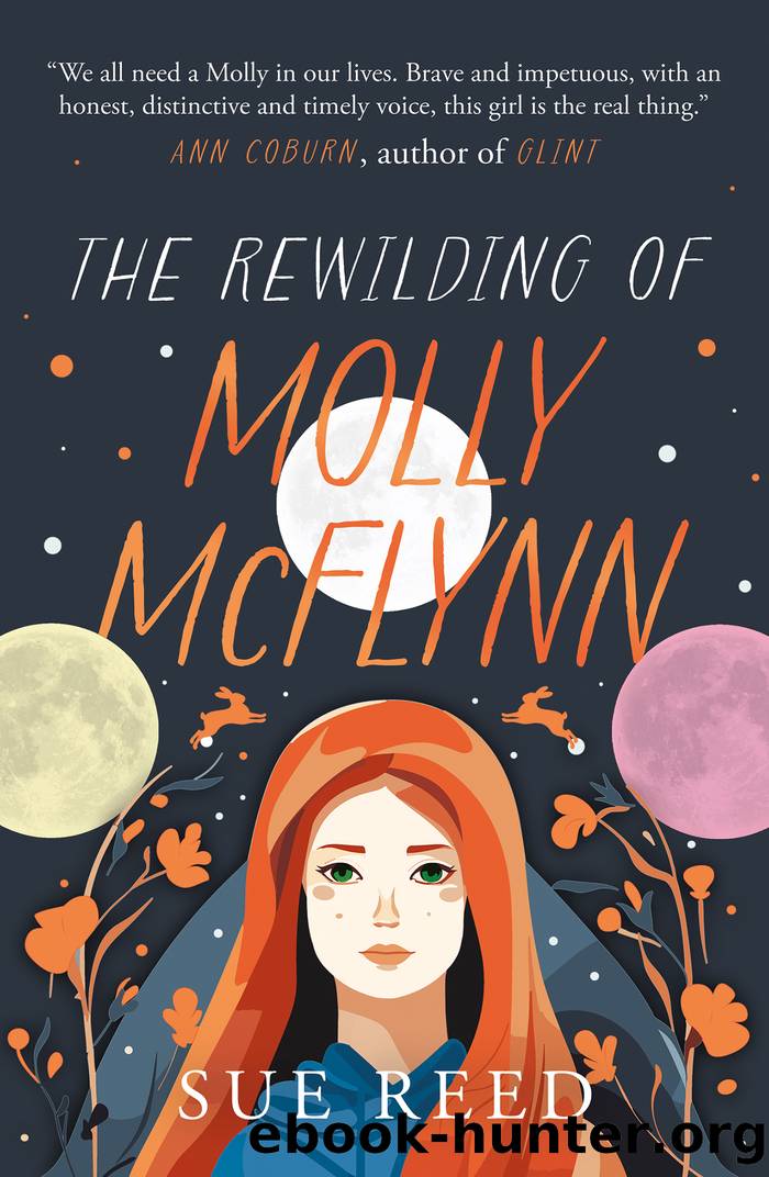 The Rewilding of Molly McFlynn by Sue Reed