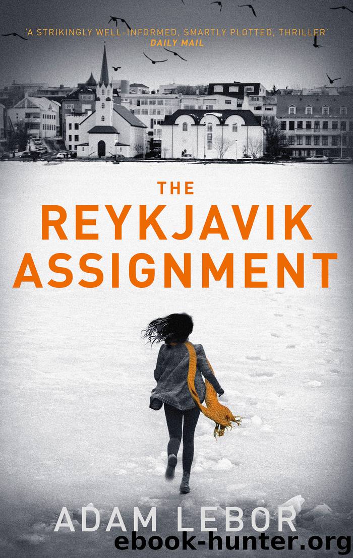 The Reykjavik Assignment by Adam LeBor