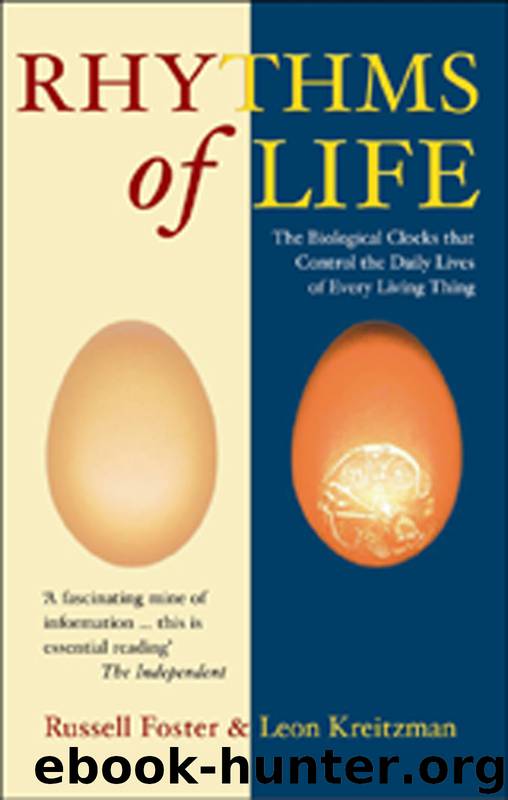 The Rhythms of Life by Leon Kreitzman & Leon Kreitzman