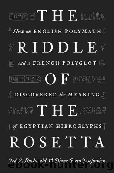 The Riddle of the Rosetta by Jed Z. Buchwald