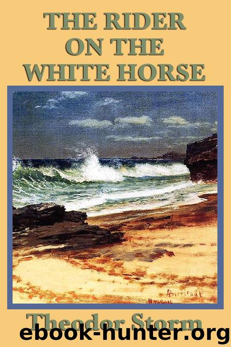 The Rider on the White Horse by Theodor Storm