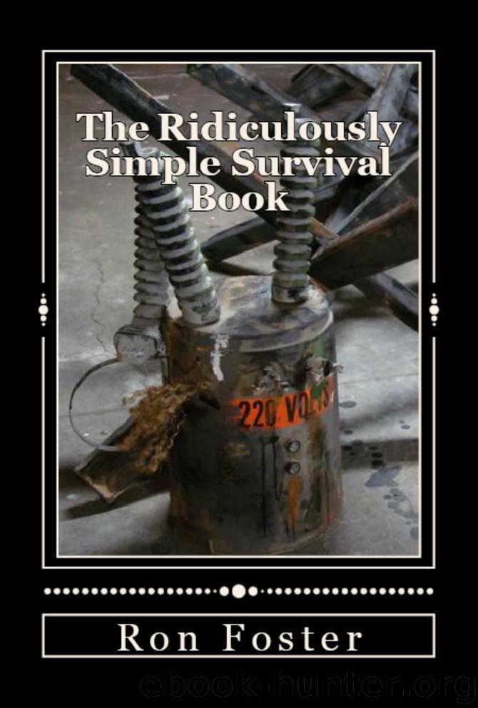 The Ridiculously Simple Survival Book by Ron Foster