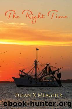 The Right Time by Susan X Meagher