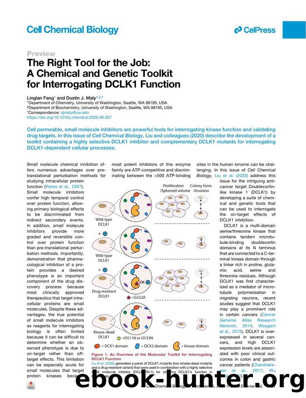 The Right Tool for the Job: A Chemical and Genetic Toolkit for Interrogating DCLK1 Function by Linglan Fang & Dustin J. Maly