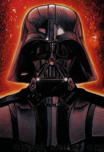 The Rise And Fall Of Darth Vader by Ryder Windham
