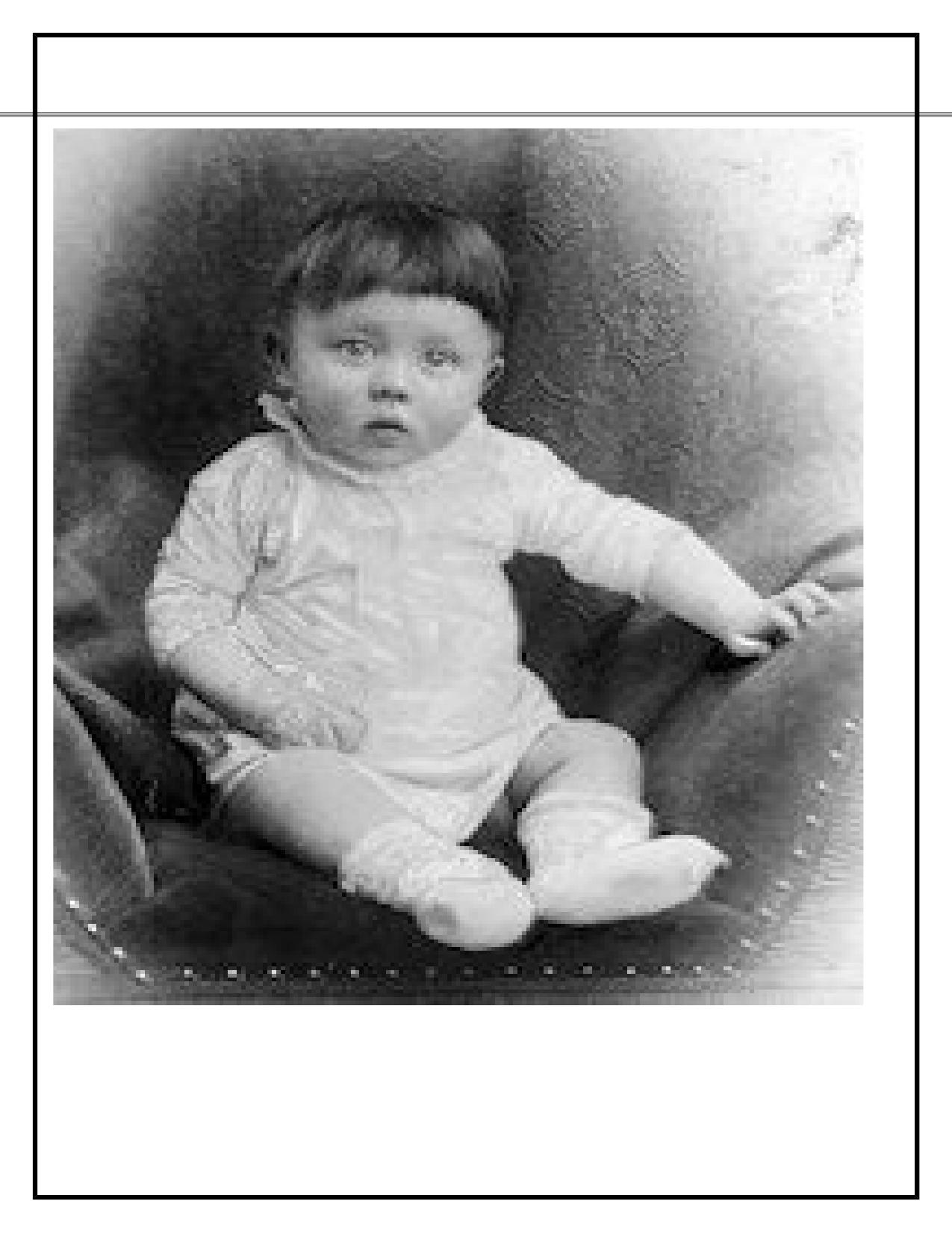The Rise of Adolf Hitler Biography 47p by jyoti