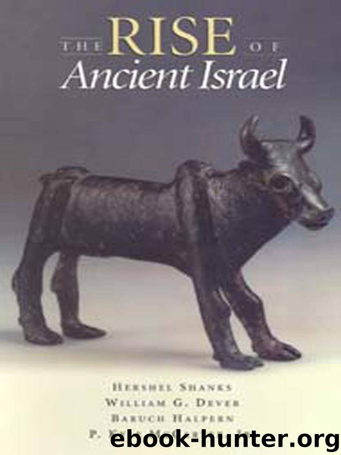 The Rise of Ancient Israel by Dever William G. & Adam Zertal & Norman Gottwald & Israel Finkelstein & P. Kyle McCarter Jr. & Bruce Halpern