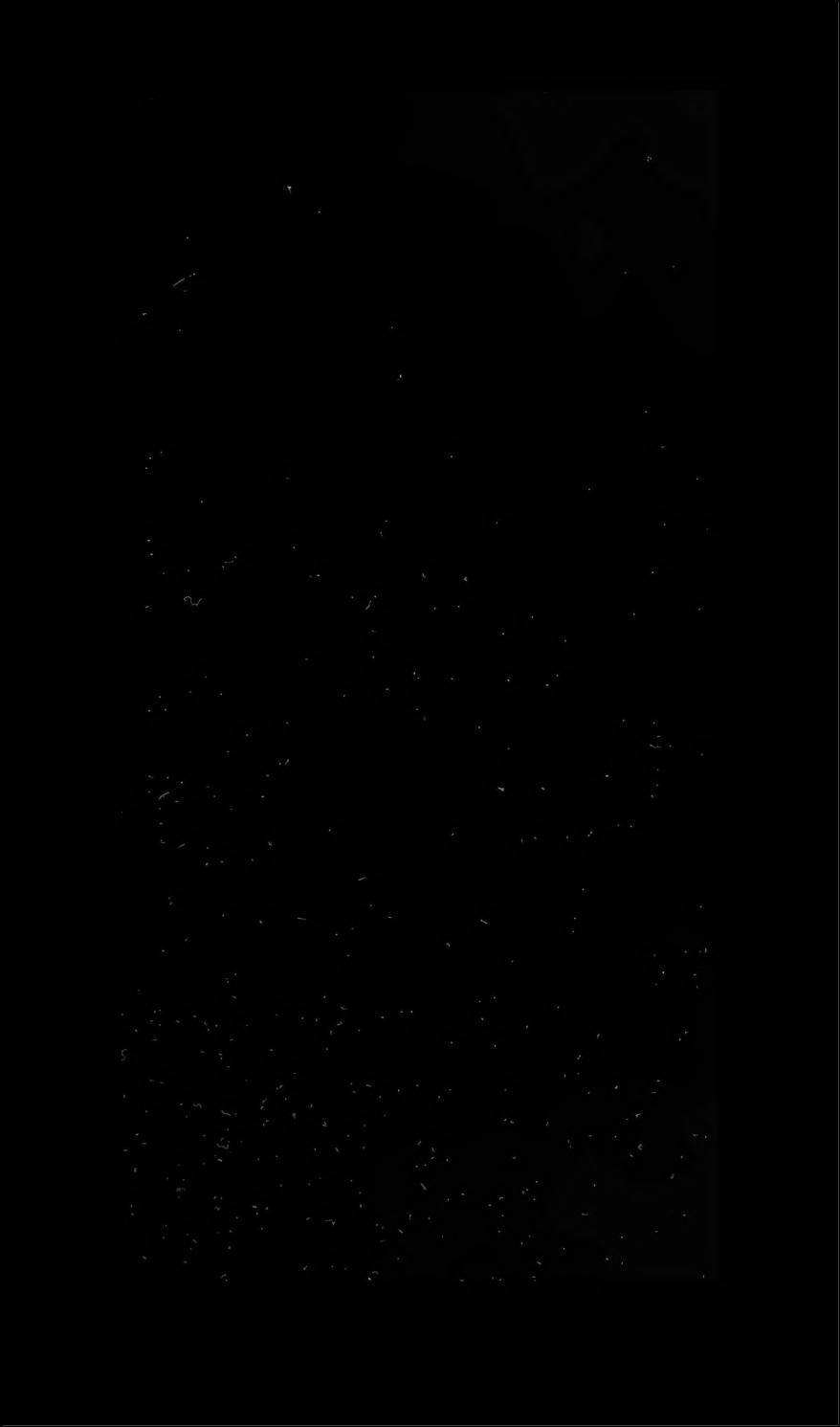 The Rise of English Studies: An Account of the Study of the English Language and Literature from Its Origins to the Making of the Oxford English School by David John Palmer