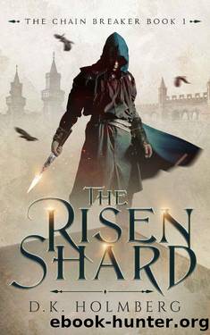 The Risen Shard (The Chain Breaker Book 1) by D.K. Holmberg