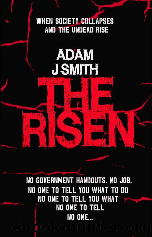 The Risen by Smith Adam J