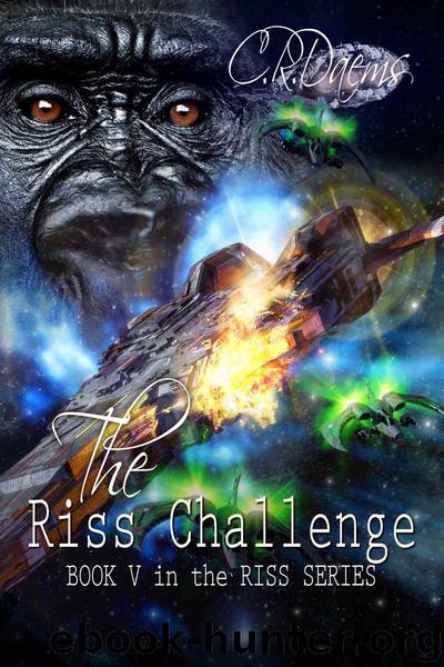 The Riss Challenge by C. R. Daems