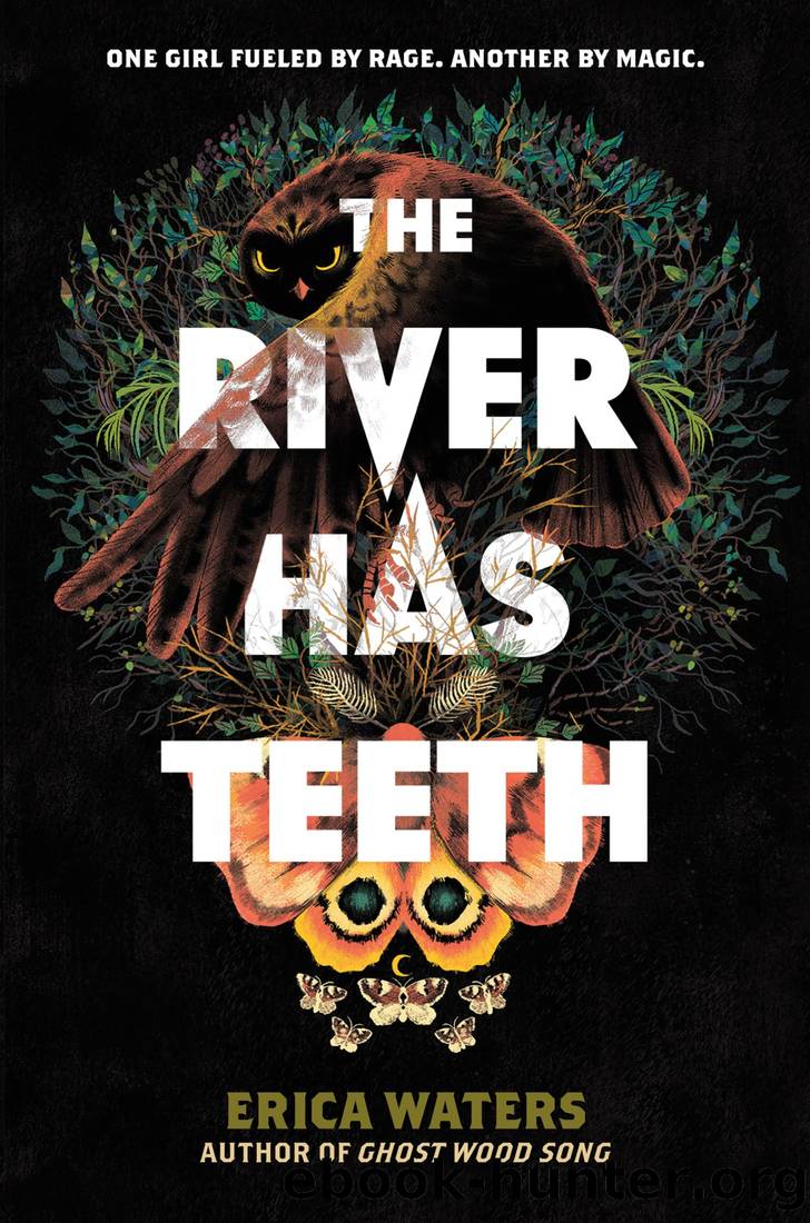 The River Has Teeth by Erica Waters