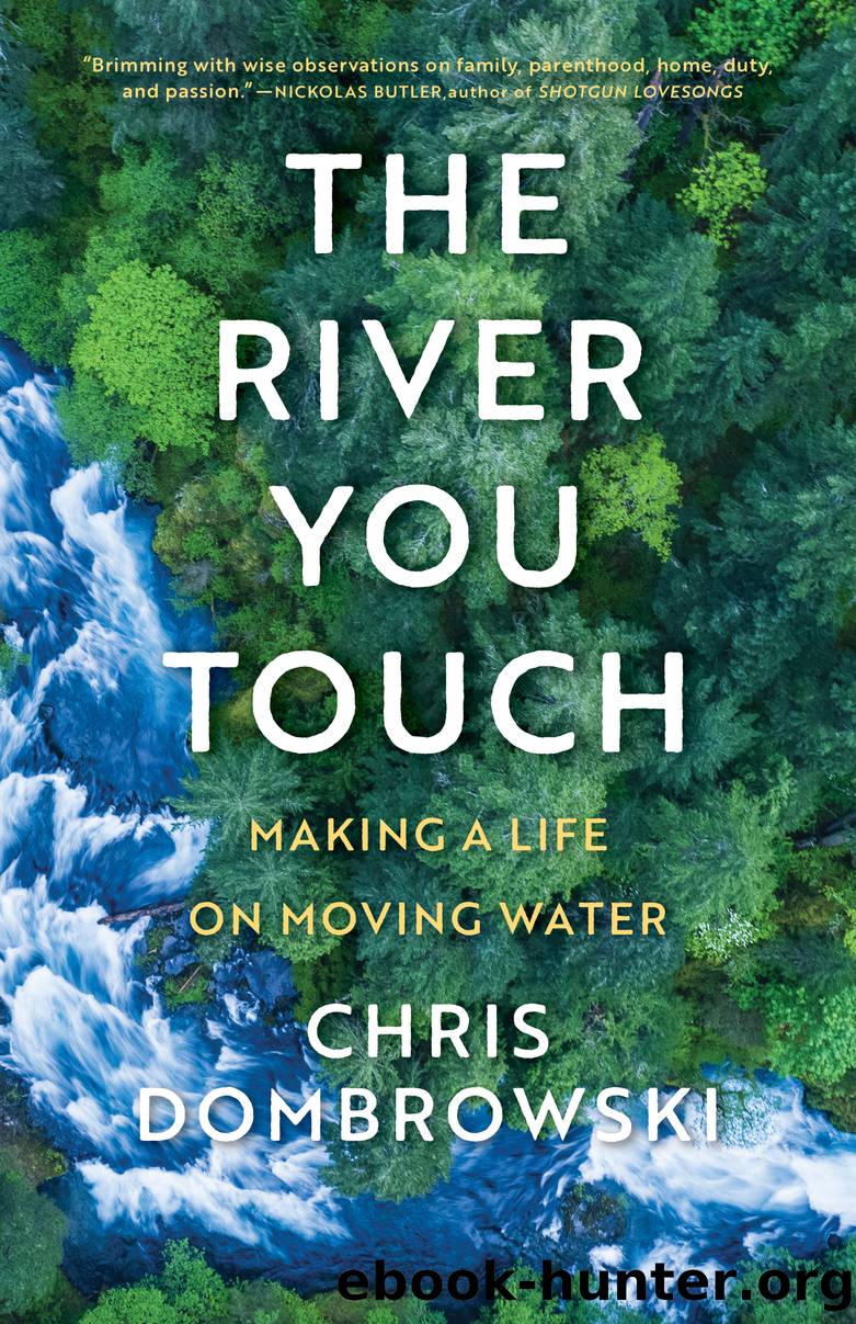 The River You Touch by Chris Dombrowski