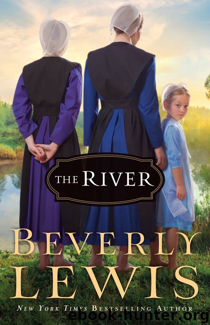 The River by Beverly Lewis