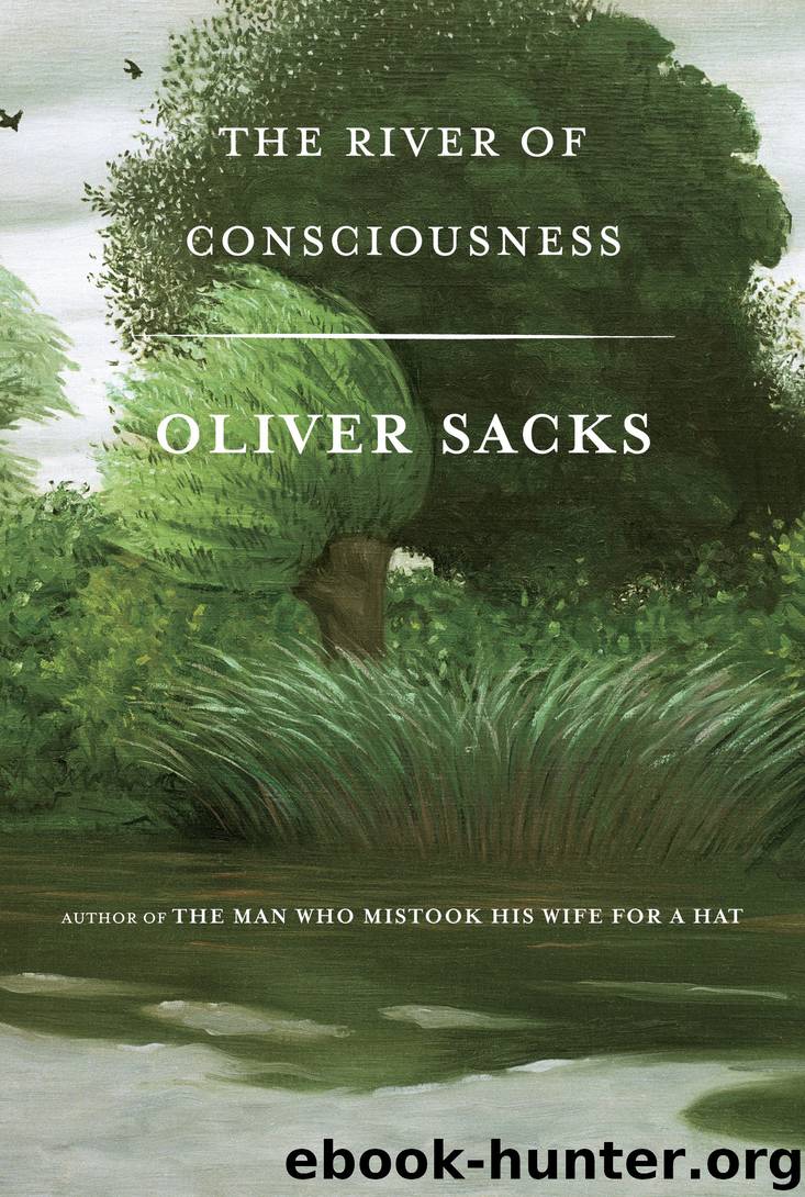 The River of Consciousness by Oliver Sacks