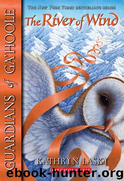 The River of Wind by Kathryn Lasky