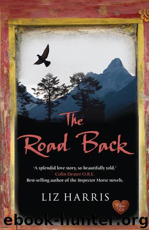 The Road Back by Liz Harris