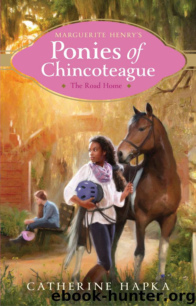 The Road Home by Catherine Hapka