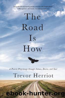 The Road Is How by Trevor Herriot