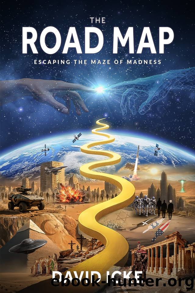 The Road Map: Escaping the Maze of Madness by Icke David