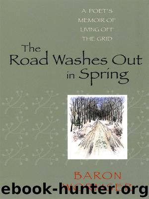 The Road Washes Out in Spring by Baron Wormser