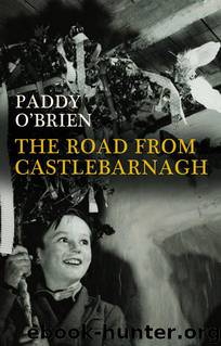 The Road from Castlebarnagh by Paddy O'Brien