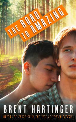 The Road to Amazing by Brent Hartinger