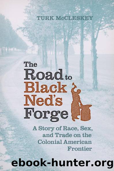 The Road to Black Ned's Forge by Turk McCleskey