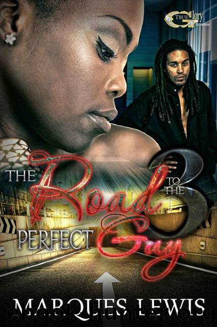 The Road to the Perfect Guy 3 by Marques Lewis