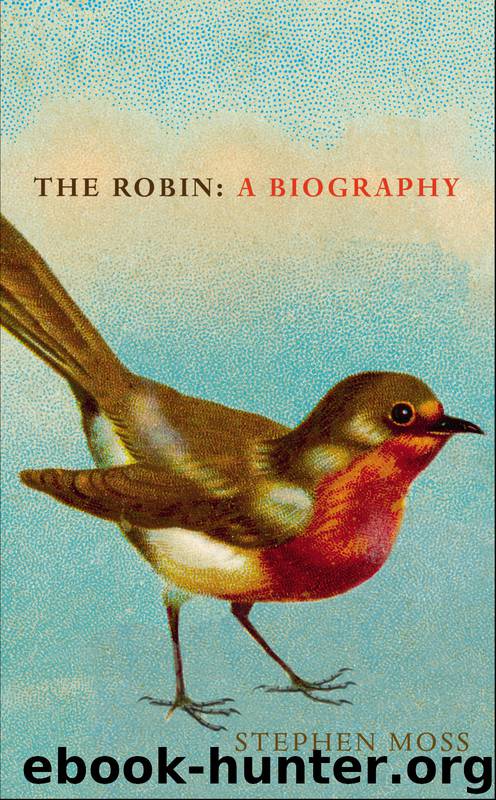 The Robin by Stephen Moss