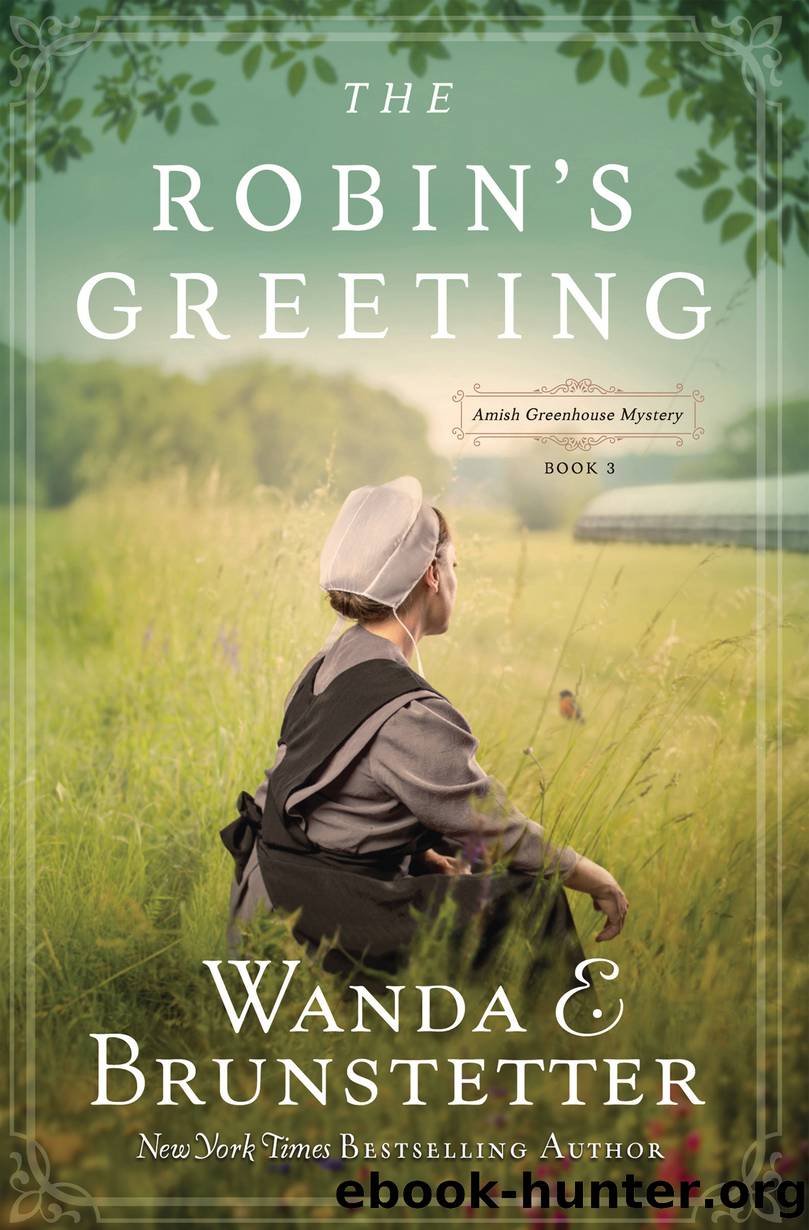 The Robin's Greeting by Wanda E. Brunstetter