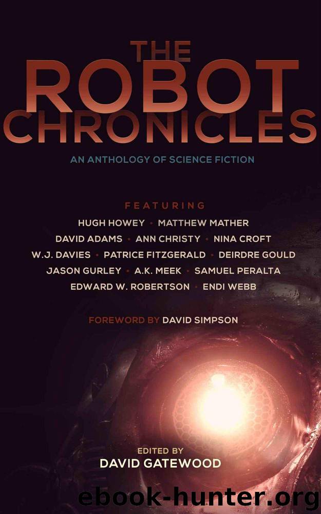 The Robot Chronicles by unknow