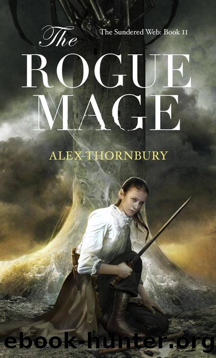 The Rogue Mage by Alex Thornbury