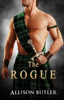 The Rogue by Allison Butler