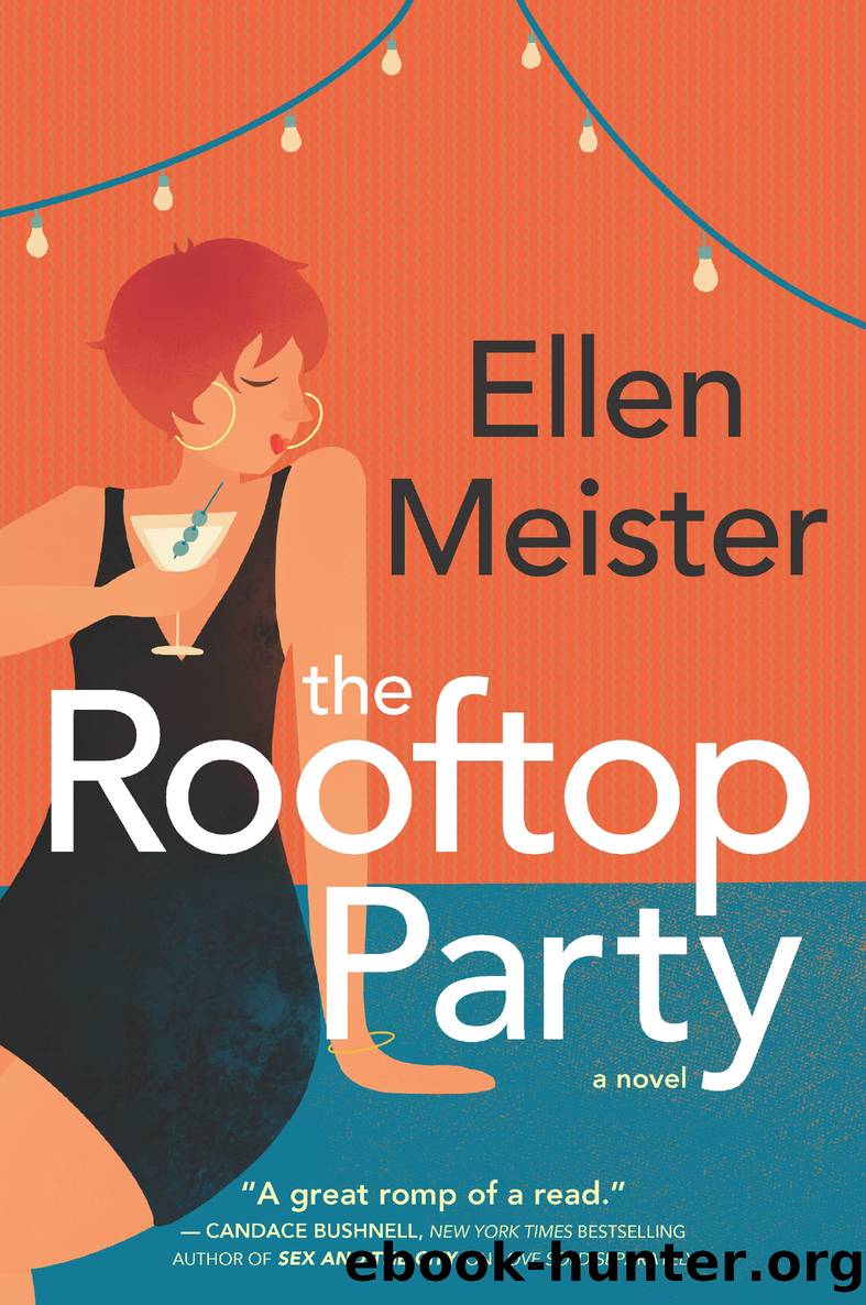 The Rooftop Party by Ellen Meister