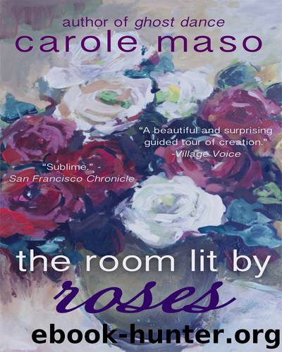 The Room Lit by Roses by Carole Maso