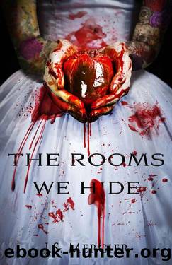 The Rooms We Hide: The Secrets Duet - Book 1 by JS Mercier