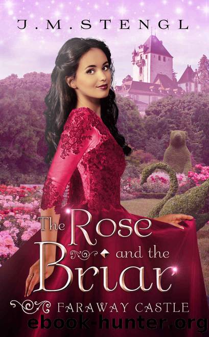 The Rose and the Briar by J. M. Stengl