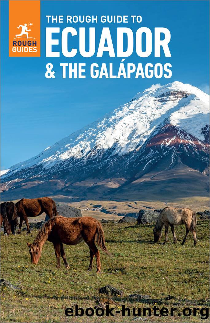 The Rough Guide to Ecuador and the Galapagos by Rough Guides