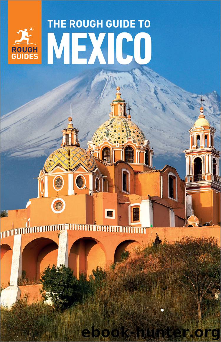 The Rough Guide to Mexico (Travel Guide eBook) by Rough Guides