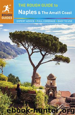 The Rough Guide to Naples and the Amalfi Coast by unknow