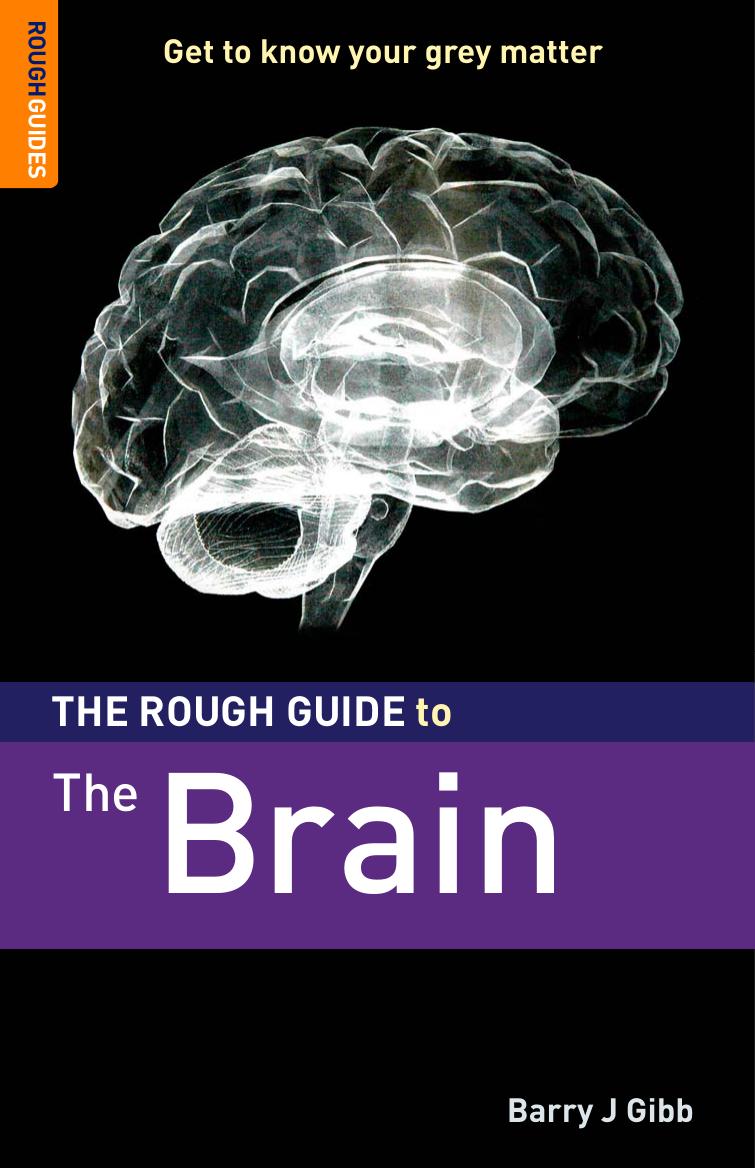 The Rough Guide to the Brain 1 (Rough Guide Reference) by Barry J Gibb