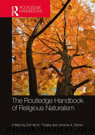 The Routledge Handbook of Religious Naturalism by Donald A. Crosby Jerome A. Stone & Jerome A. Stone