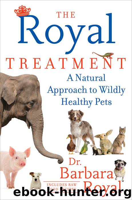 The Royal Treatment by Barbara Royal