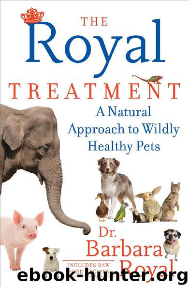 The Royal Treatment by Dr. Barbara Royal