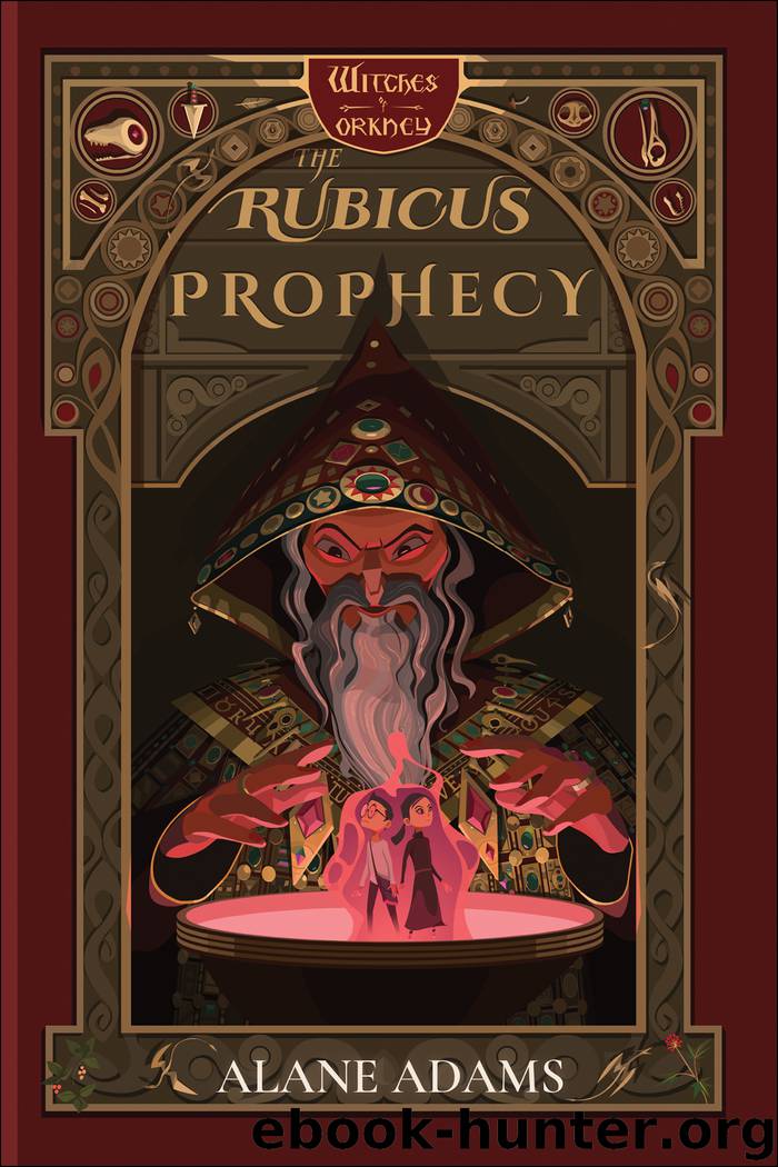The Rubicus Prophecy by Alane Adams