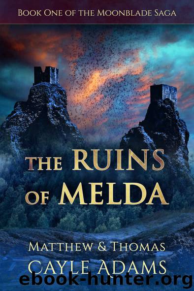 The Ruins of Melda by Matthew Cayle Adams & Thomas Cayle Adams
