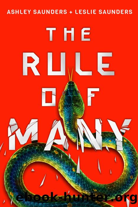 The Rule of Many by Ashley Saunders & Leslie Saunders